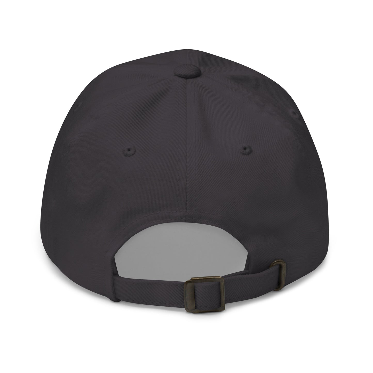 6 panel cap