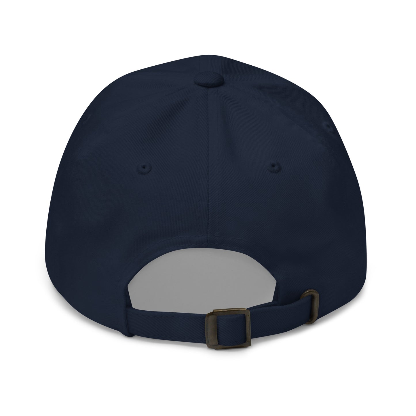 6 panel cap