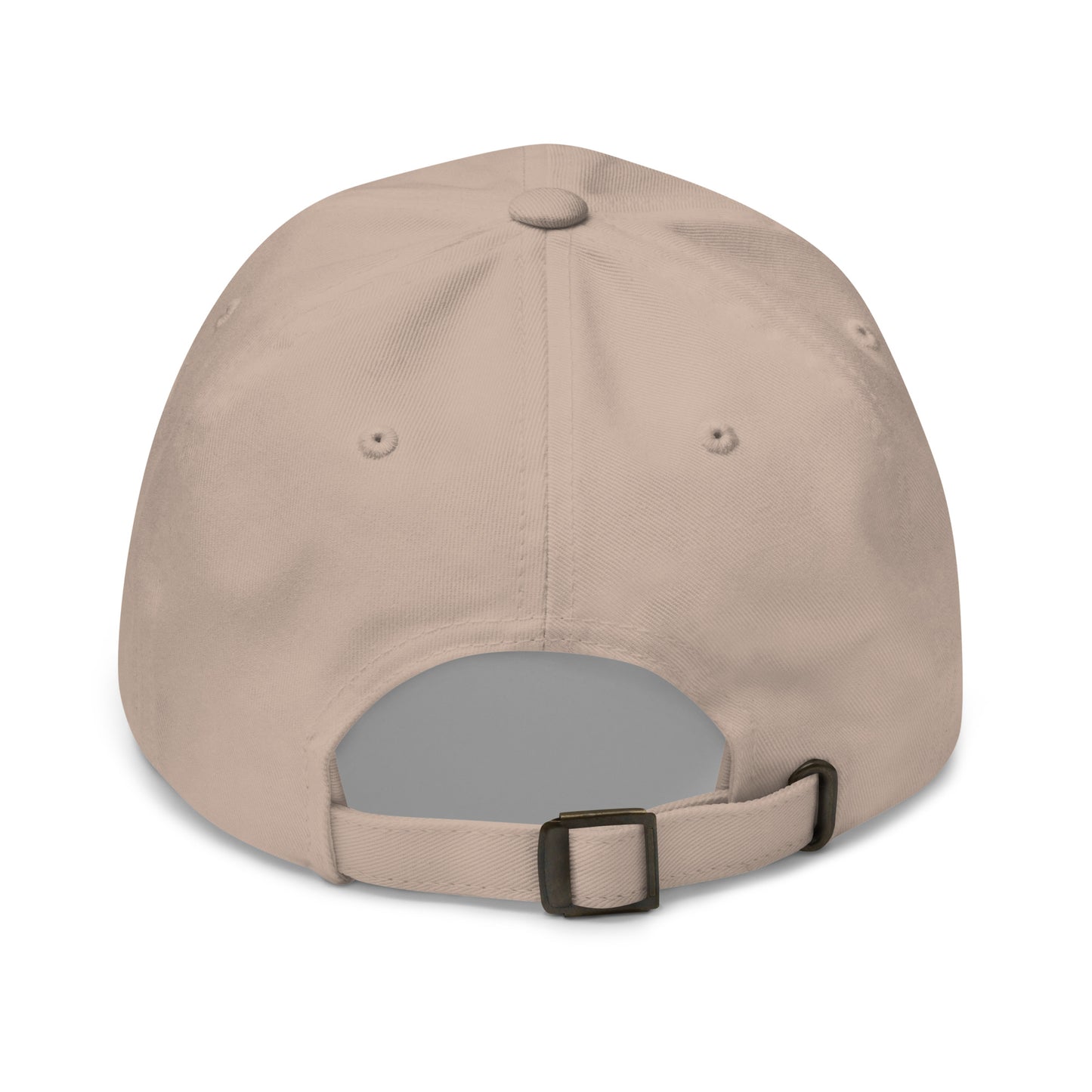 6 panel cap